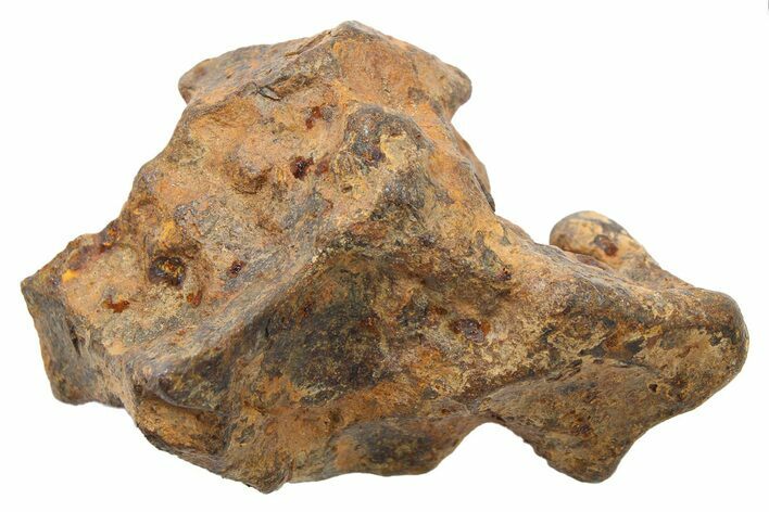 Agoudal Iron Meteorite (g) - Morocco #265820